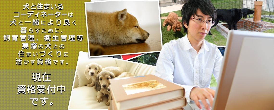 犬と住まいるコーディネーター資格とは?