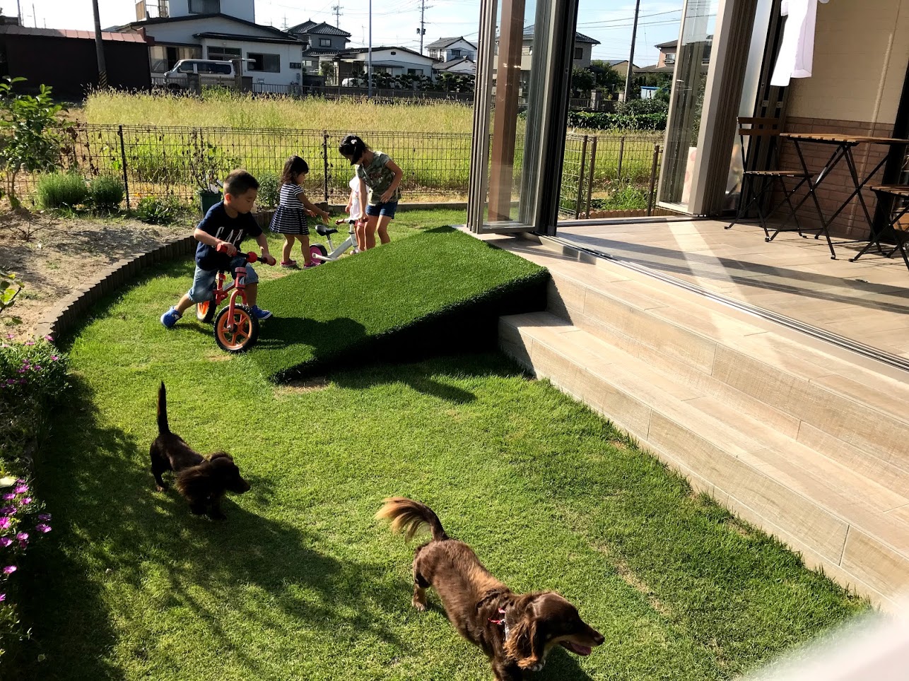 犬 と 遊べる 場所 福岡